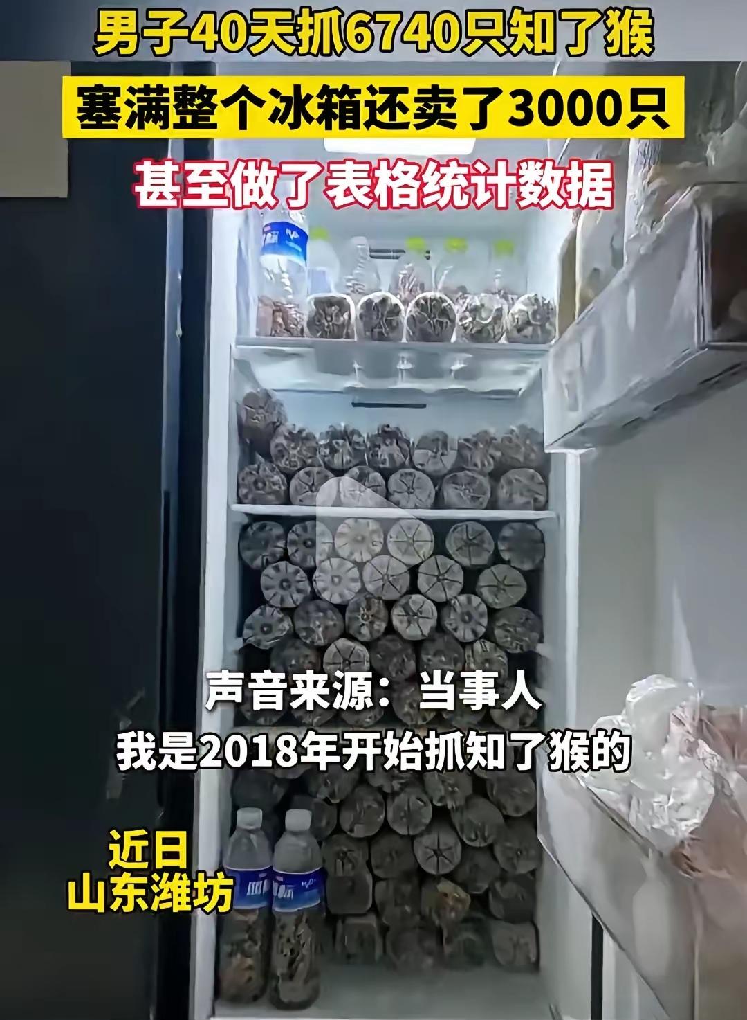 山东这个男子真是个狠人！男子是山东潍坊的，从2018年开始就迷上了找知了猴，现