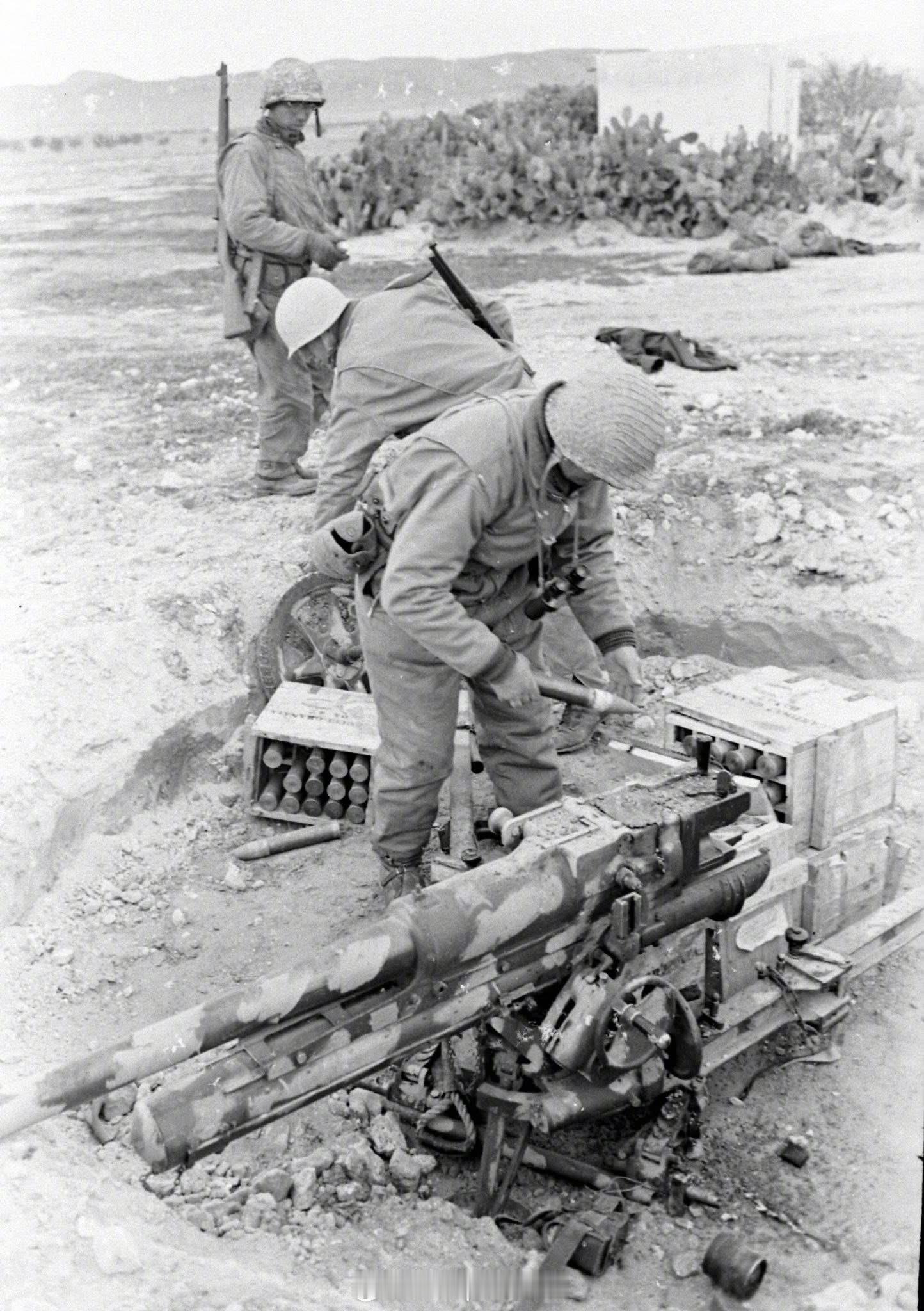 烽火问鼎计划照片中的历史1943年初，突尼斯，美国士兵正在查看一门隐蔽部署的意