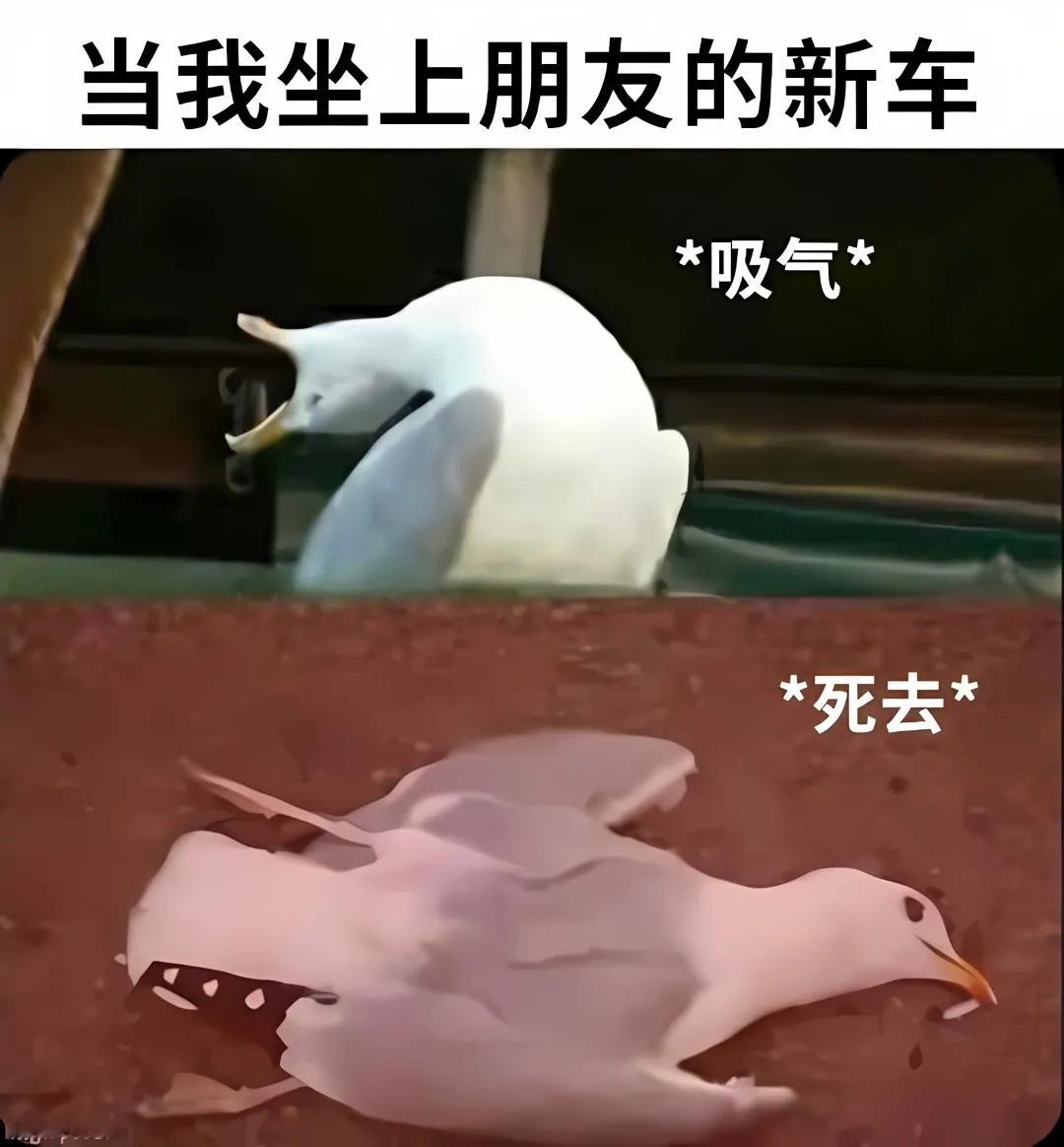 甲醛净化员meme