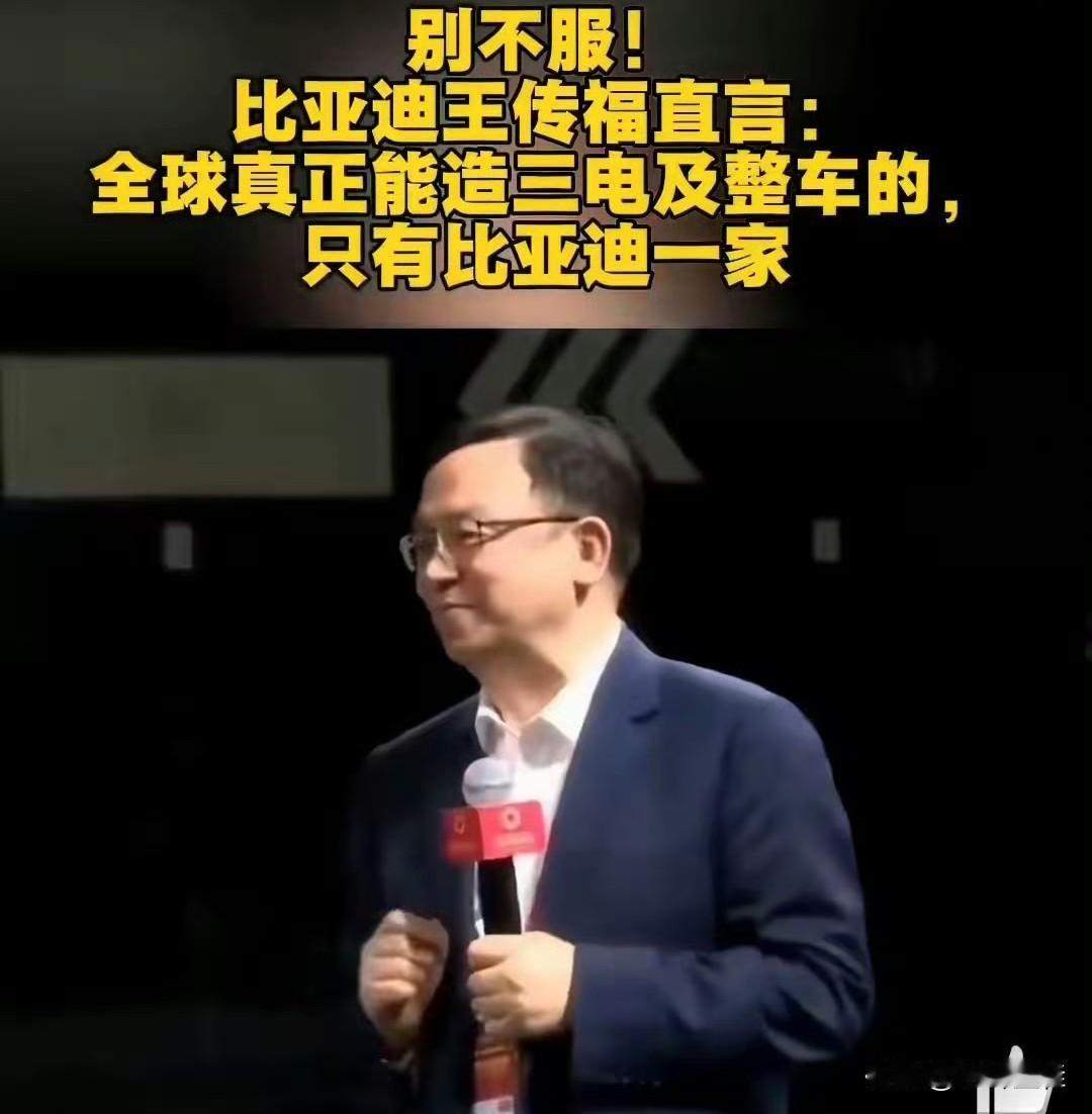 船夫哥：“全球真正能造三电及整车的，目前就只有比亚迪一家！”这是船夫哥在某次媒