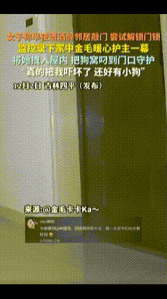 万物皆有灵！女子半夜遭到酒醉邻居敲门，还尝试解锁门锁，女子吓得六神无主，于是金毛