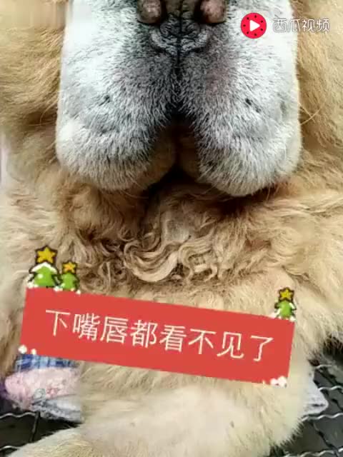 482725351011940482.jpg?id=0