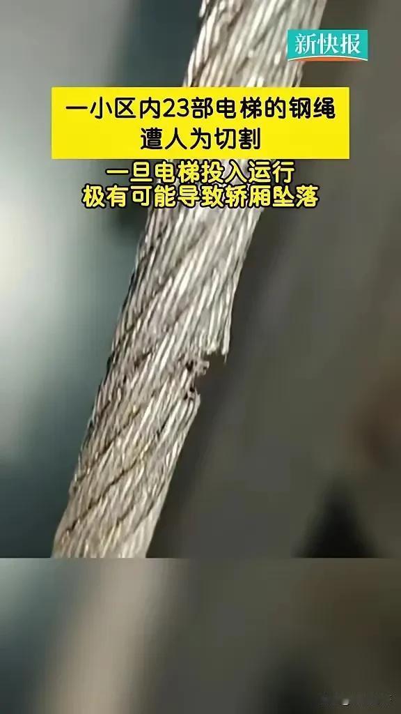 现在全网最后悔的男女就是毛某某和高某某了吧！不是因为被刑拘，也不是因为要承担