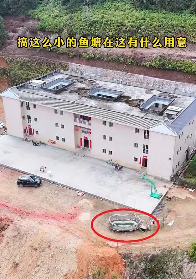 儿子始终搞不懂，父母在这建个小小的池塘，是什么用意搞这么小的鱼塘在这有什么用意？