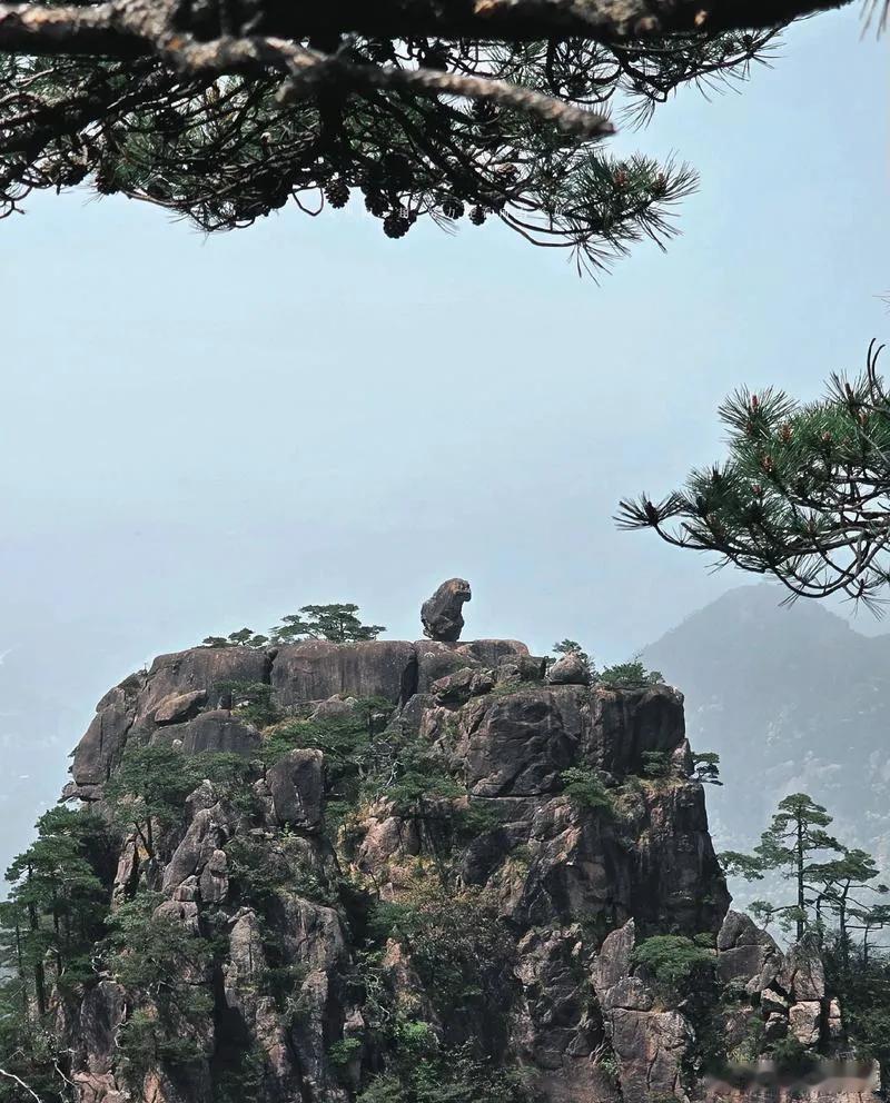 黄山，真的绝了！每一处风景都像一幅画～迎客松的霸气，云海的飘渺，古桥的韵味，还有