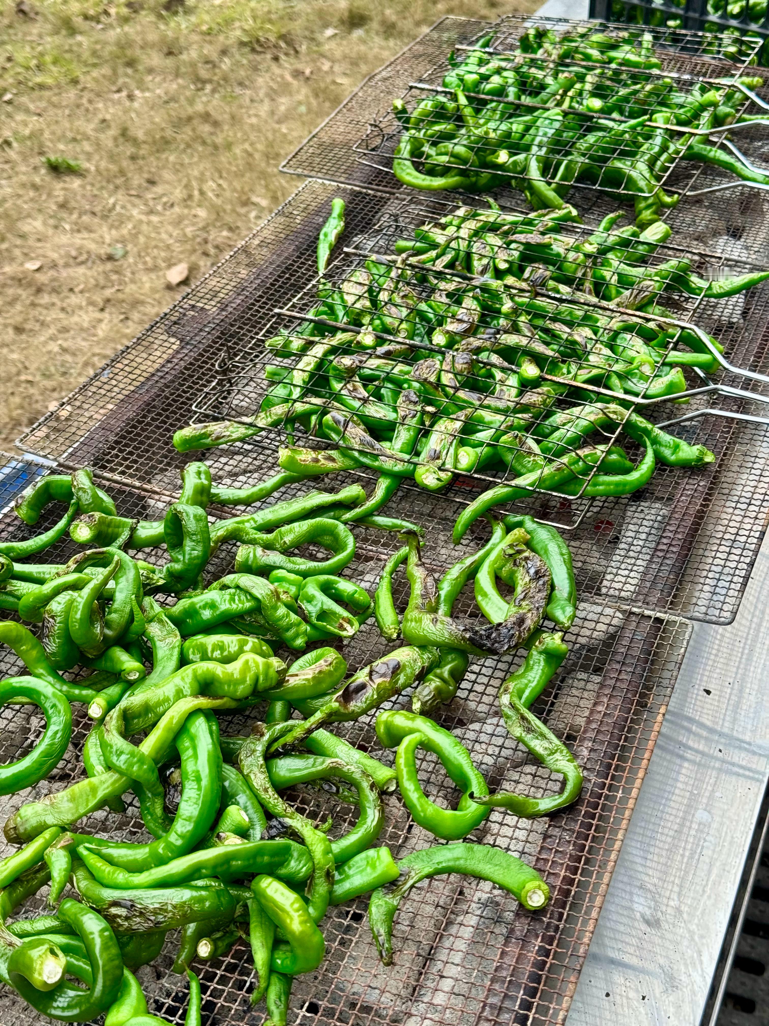 贵州烧椒牛肉火锅，太太太下饭了！一直对贵州美食印象很好，好吃还便宜，这算是又开拓