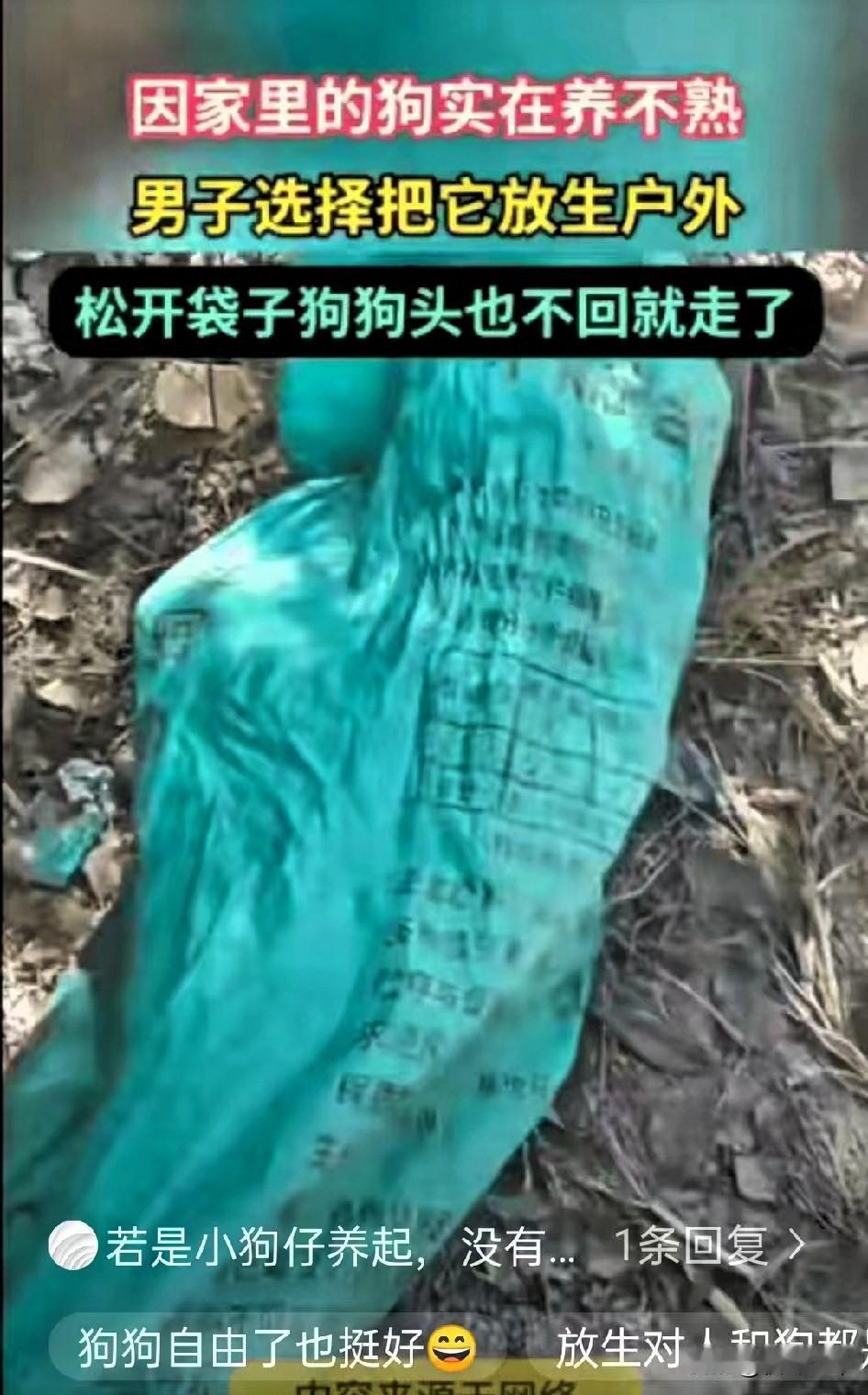 河南这位大哥真被自家狗整得又无奈又好笑！掏心掏肺养了大半年，顿顿精心准备狗粮，没