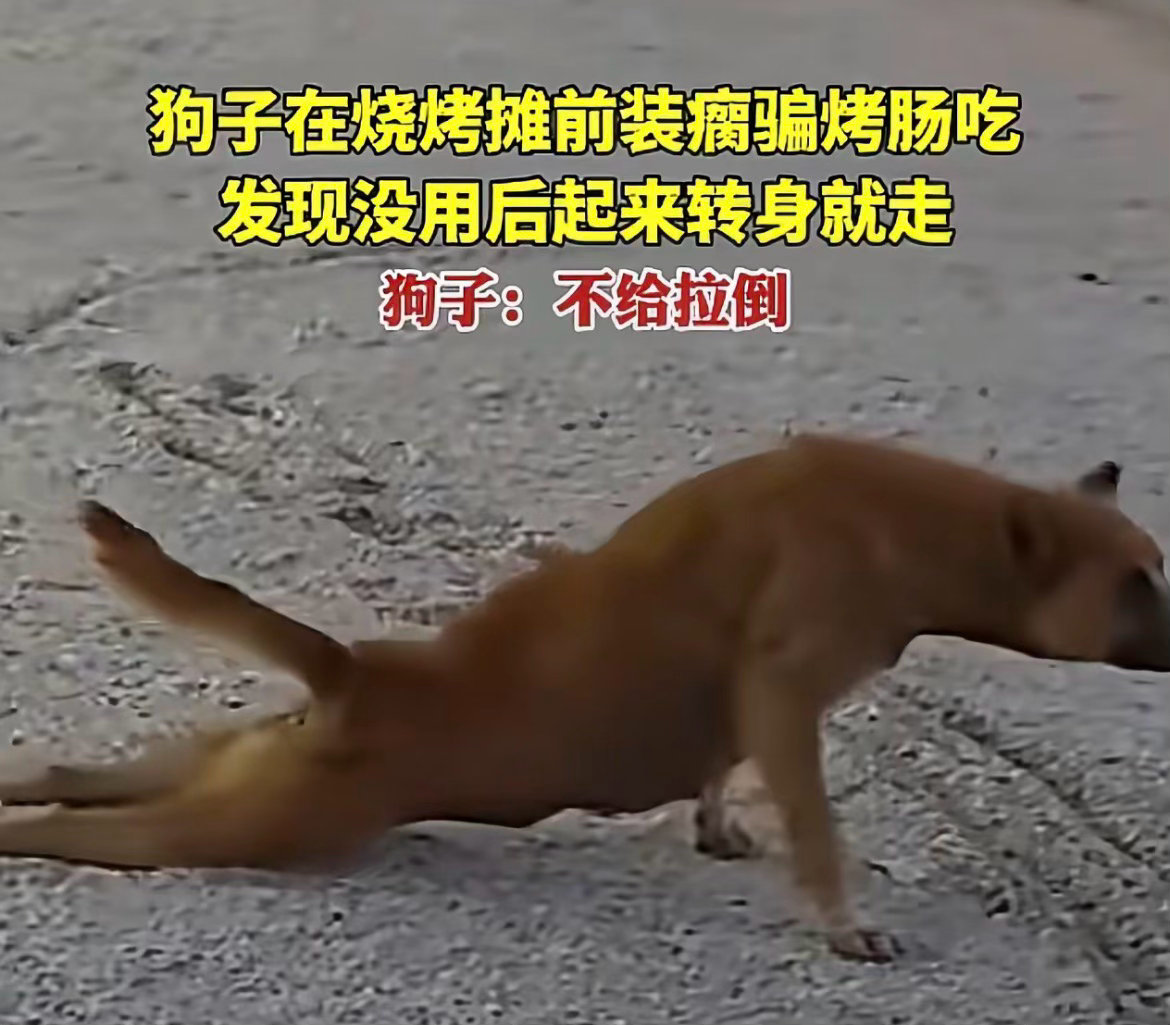 卧槽我笑死了​​​