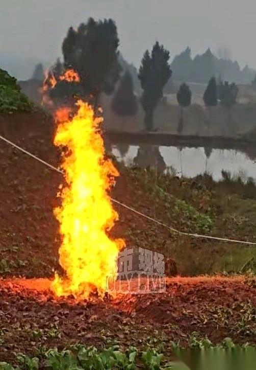 四川有块菜地，自己着了。烧了整整8天，老天爷下了几场雨，愣是没浇灭。火苗从一
