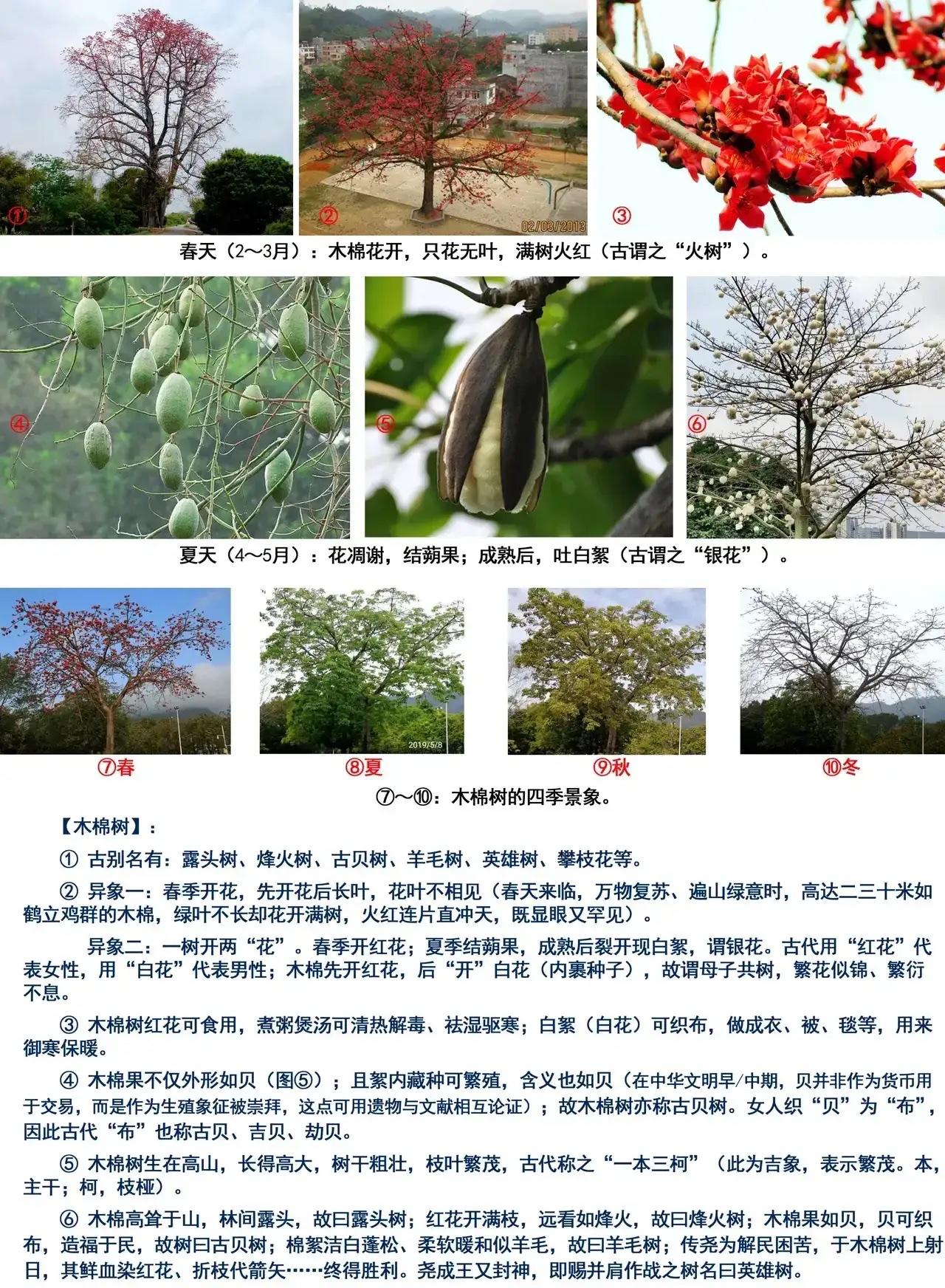 从尧射日到后羿射日：谁改写了上古英雄史？——从三星堆世室遗存看尧功如何演变为