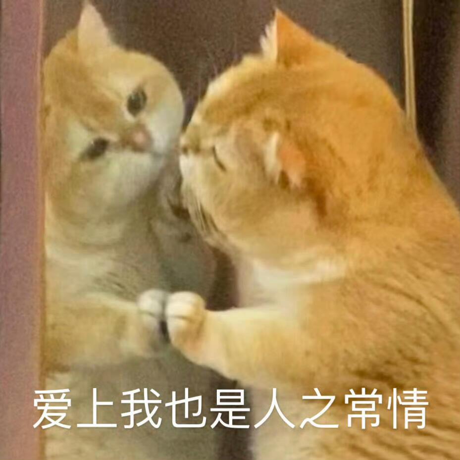 这么搞笑的表情包是谁还没有​​​