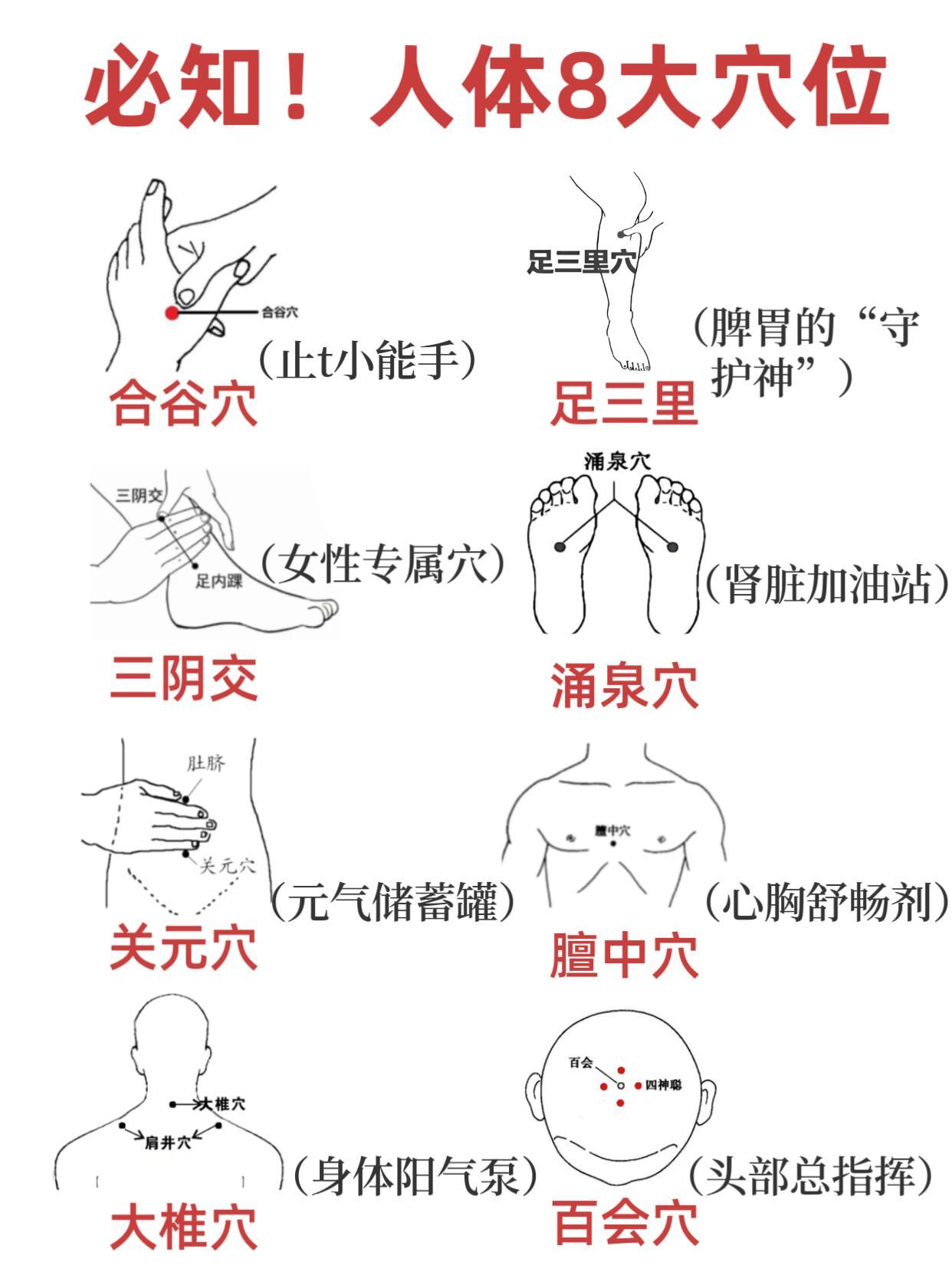 速码！人体8大养生穴位，一穴一功效✨拿走不谢国医的精诚力量​​​