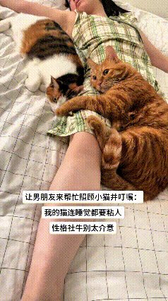 美女养了两只小猫，平时她在家睡觉，俩小家伙就特别黏人，抱着她大腿踏踏实实挨着睡，