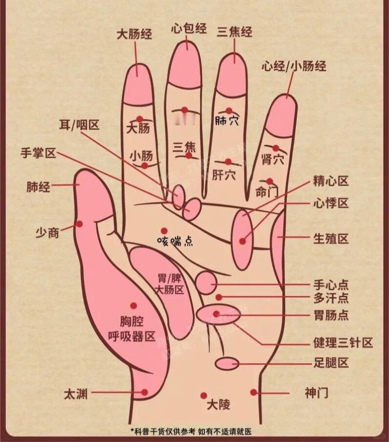 我们怎样通过按摩手部去疏通五脏六腑的经络我们手部有五脏六腑及经络的反射区，经常按