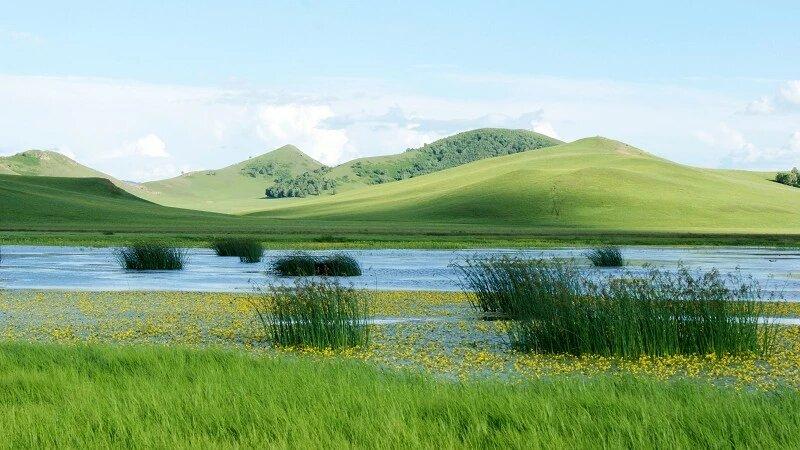 分享一张最美风景照草原——百看不厌，去了一百次都会有惊喜的天然大花园！