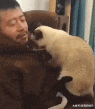 搞笑GIF: 当过兵的人厨房是这样的! 看到最后莫名的想笑