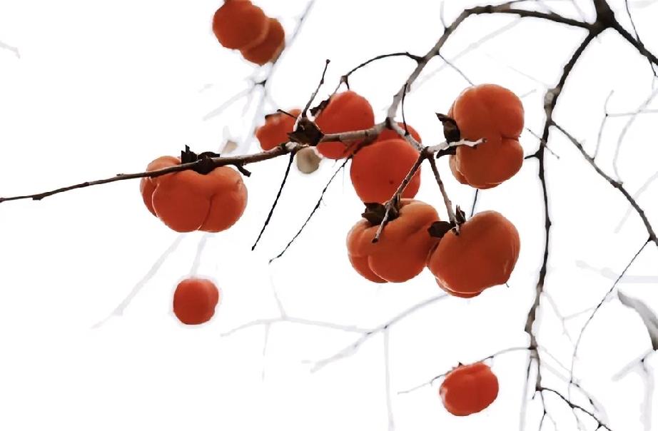 前天到医院里去看望我那怀孕待产的侄女。上得楼来，便见弟媳正搀扶着侄女在走廊那头