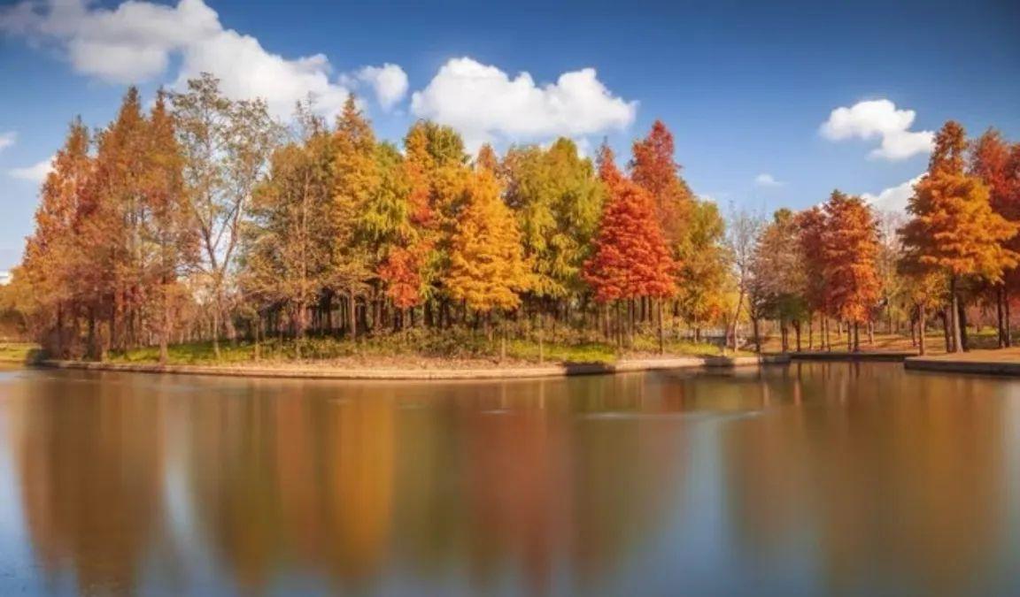 昨天吃晚饭时，老公扒拉几口饭，突然放下筷子，一脸认真地对我说，“要是和日本打起来