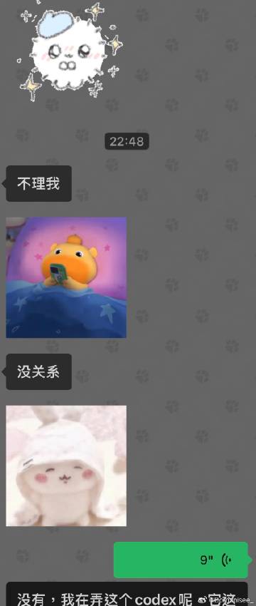 都怪codex