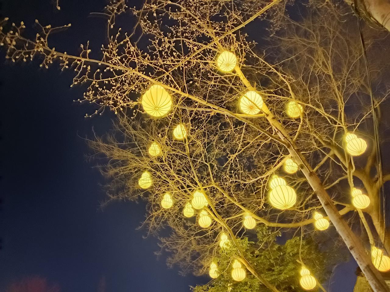 射雕：杨康真的贪图荣华富贵吗？其实，是，也不是。杨康在射雕里坚定地选择养父的