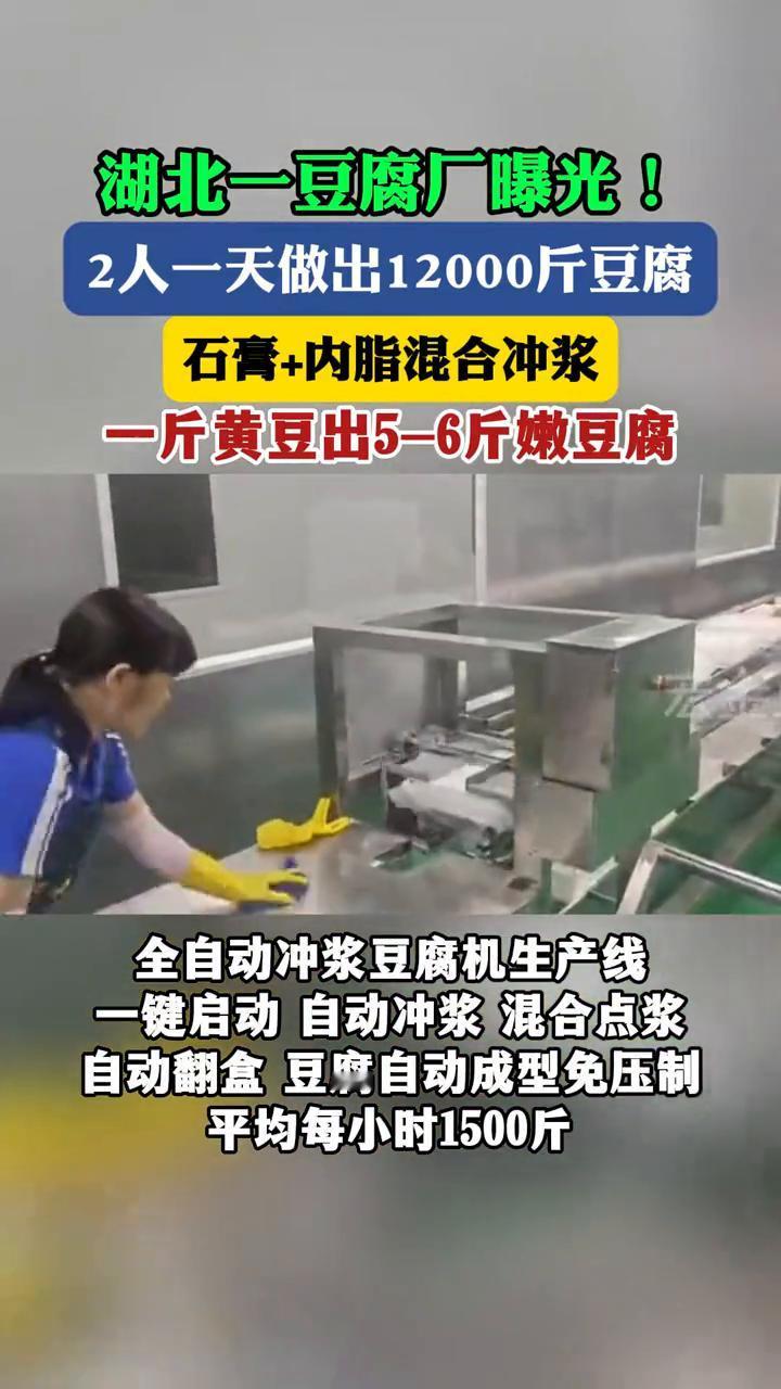 湖北一豆腐厂曝光！2人一天做出12000斤豆腐，石膏+内脂混合冲浆，一斤黄豆出5