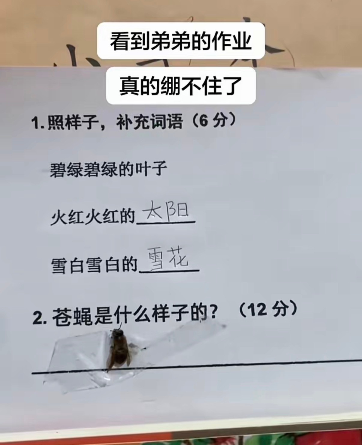 动手能力很强​​​