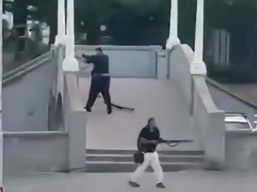 悉尼海滩的枪手，放过了所有围观者。这起事件刚刚被重新定性。澳洲警方撬开枪手的