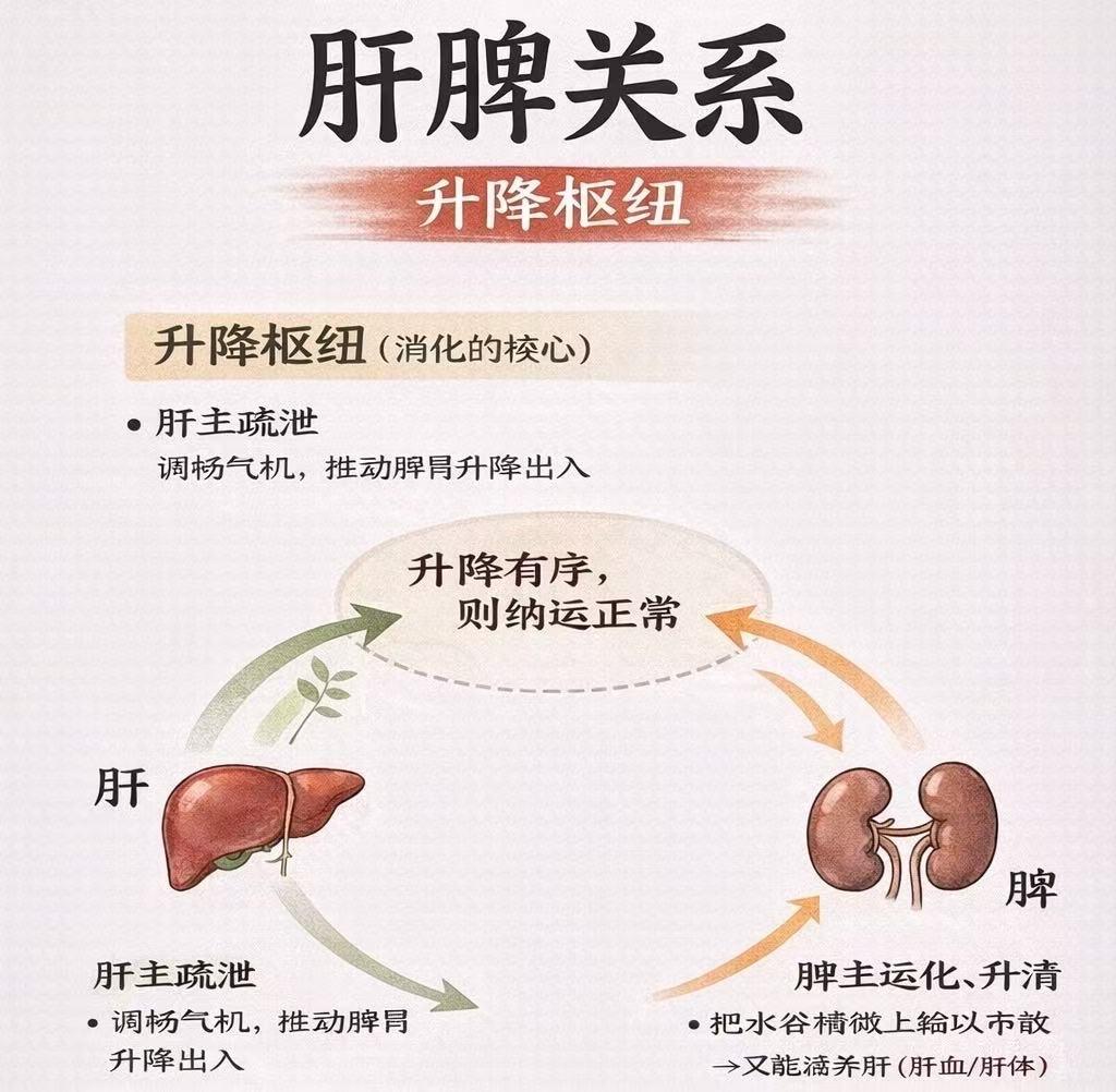 一进诊室血压就飙到170，回家量却130？这种“见面高”，多是被情绪抬起来的有