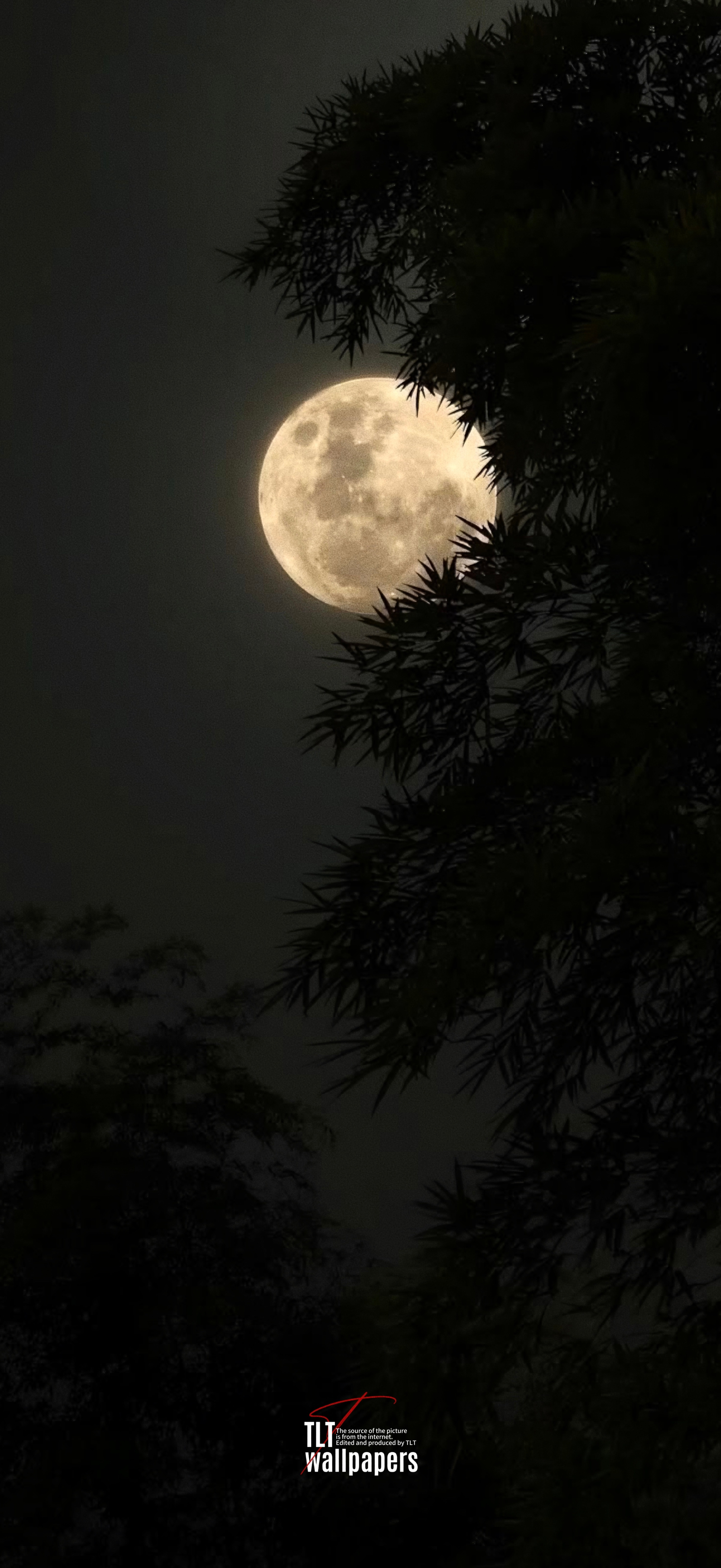 壁纸用不完月圆人安大家中秋快乐🌕壁纸壁纸用不完手机壁纸高清壁纸