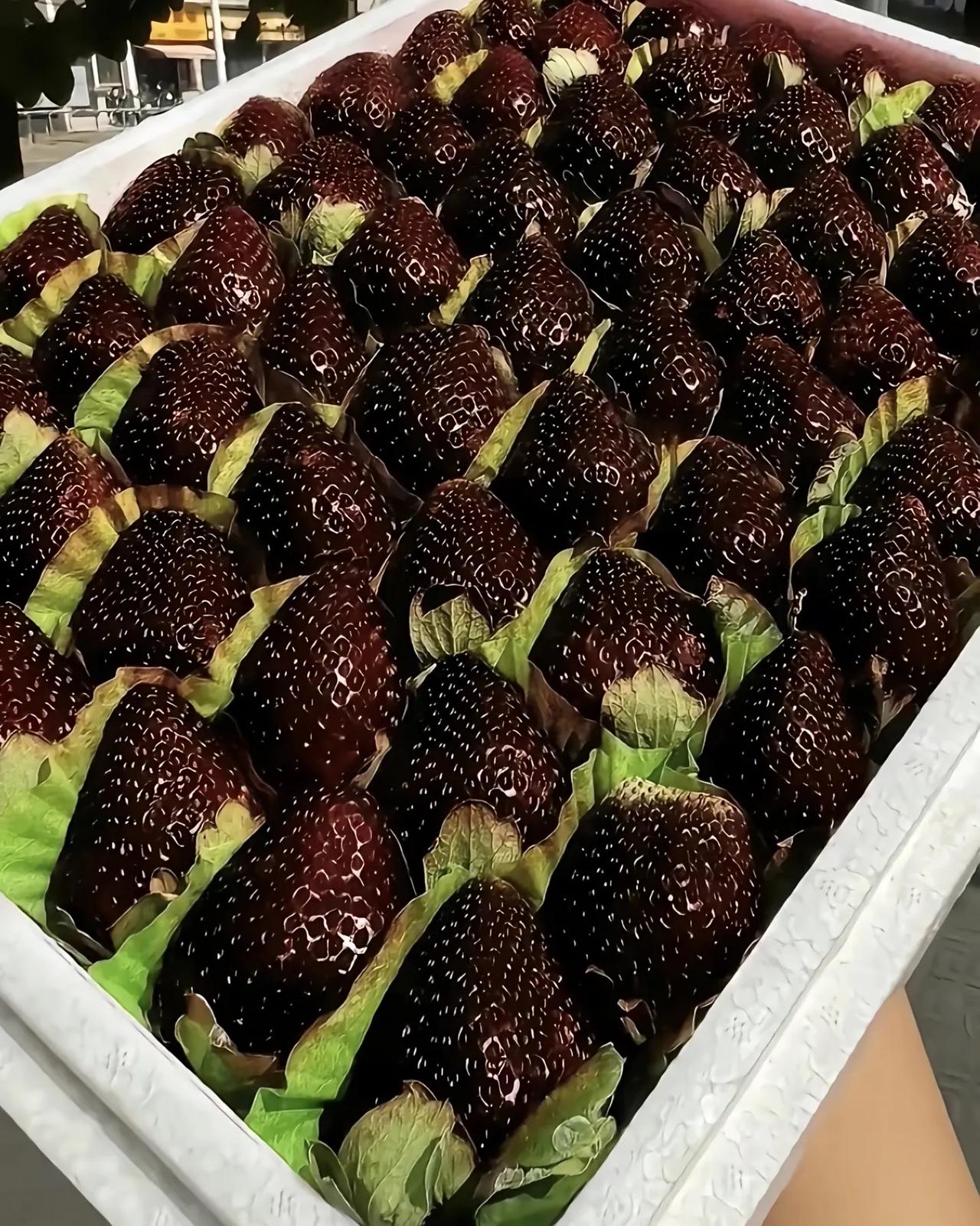 黑草莓300元一斤，堪称水果届中的皇后。300元一斤的黑草莓走红，黑草莓并非