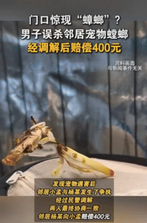 “讹人成功了？”浙江杭州，一男子在家门口发现疑似“蟑螂”的踪迹，便用杀虫剂进行消
