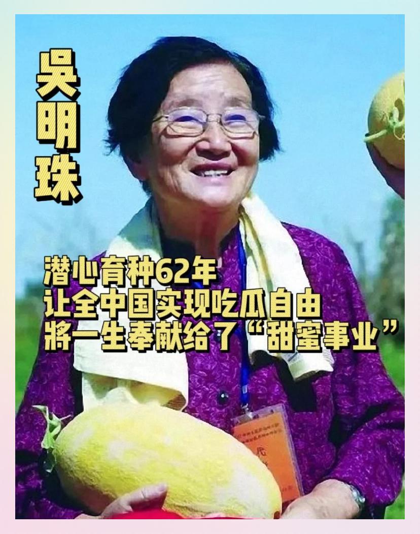 1955年，武汉女大学生吴明珠，放弃了城里的工作，趁父母不注意，连夜逃往新疆，父