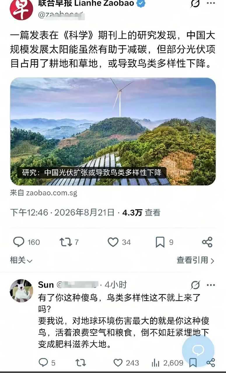 真是傻鸟