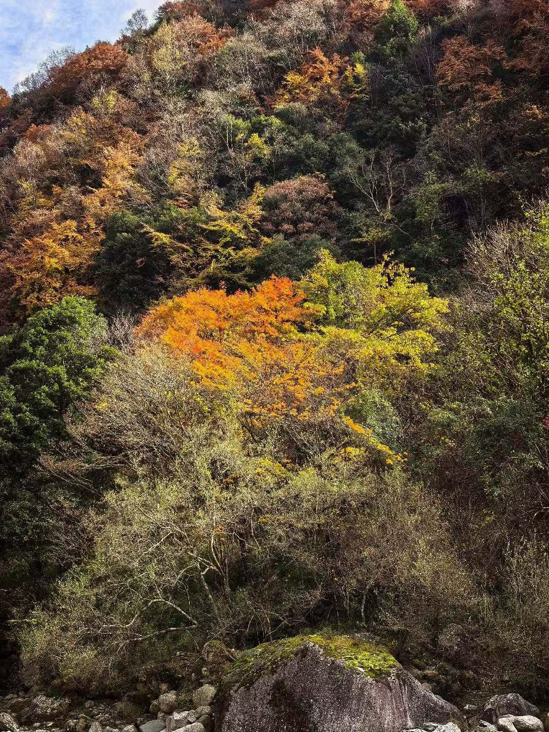 不要怕初冬的寒风，我带大家领略美丽的风景，这里会使你心生暖意！