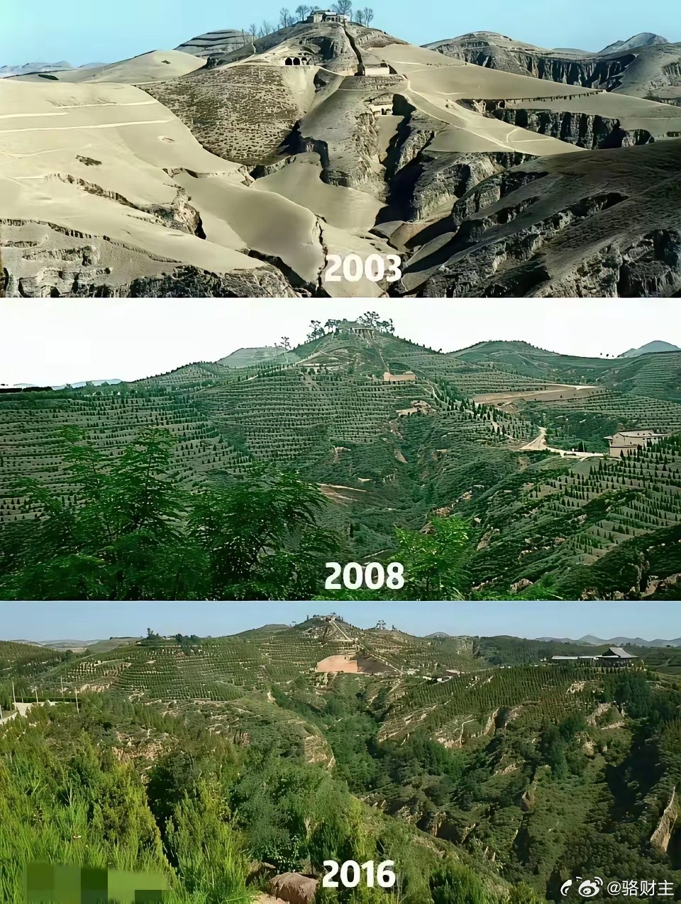西北最近十几年最大的变化是，黄山变成了绿山。​​​