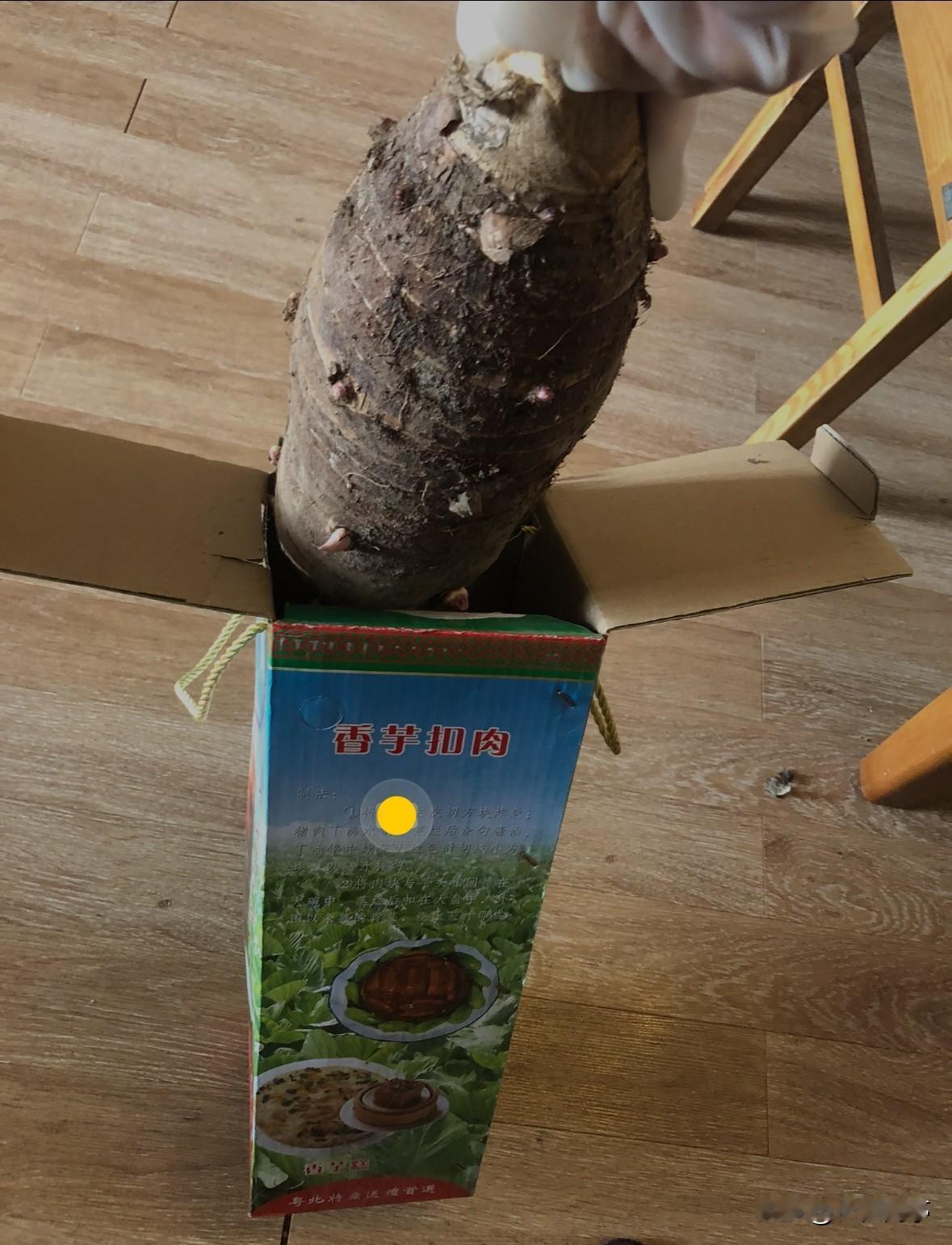 大的是贡品，一百多块钱一个呢！小的只能算特产。每年过年，叔叔和梅姨都要从乐昌