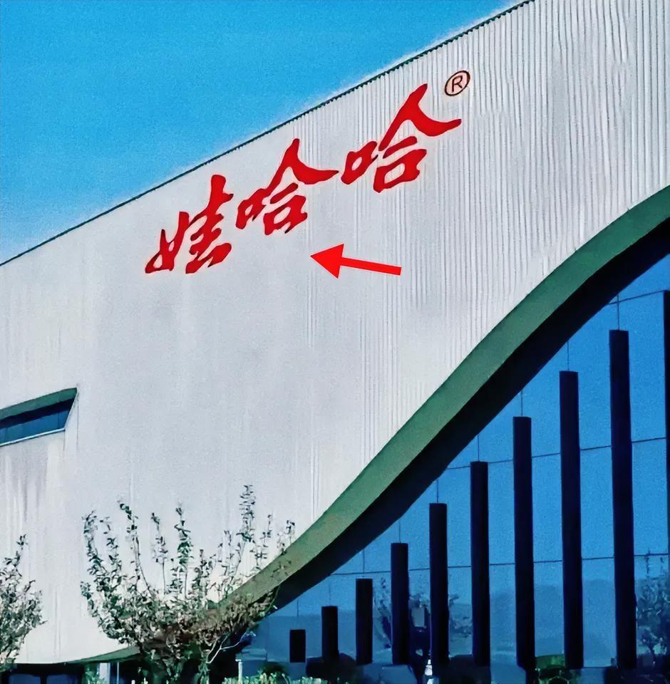 许思敏突然被拉上娃哈哈牌桌，她手里攥着一堆王炸，法人章、总经理权、老板信任。