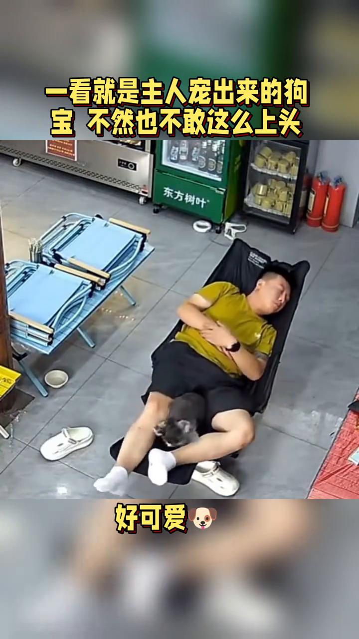 你瞅瞅。