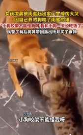“这就是闺蜜！”安徽，一女子住在闺蜜家里，不料她的狗吓了闺蜜的猫，闺蜜一怒将她赶