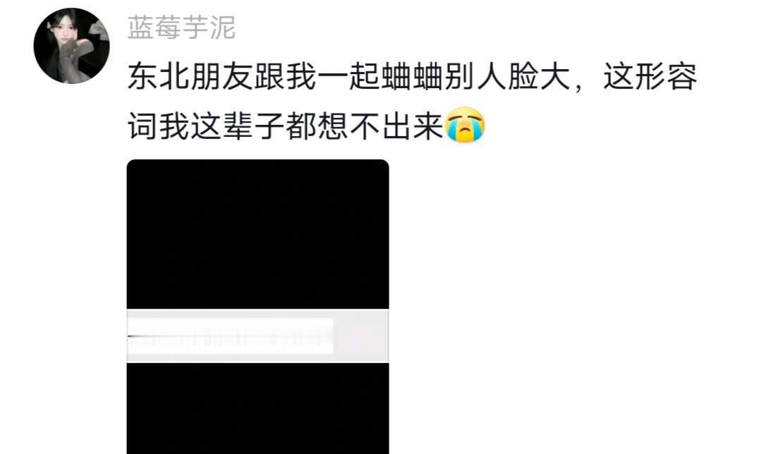 东北人的嘴能不能借我用用