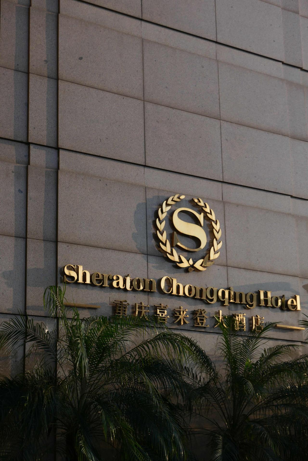 🍧重庆喜来登大酒店·重庆湾壹号春宴🍱🚘位于南滨路，地理位置优越，临近长