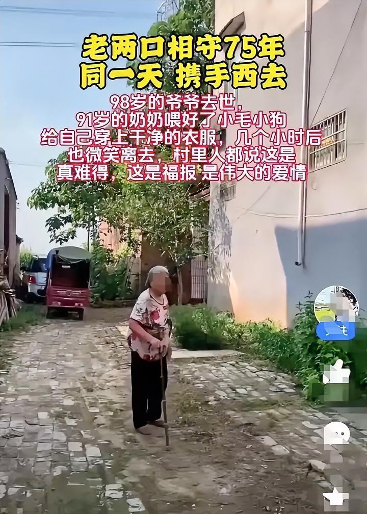 相守75年后，98岁爷爷清晨安详离世，91岁奶奶没有嚎啕大哭，而是默默喂饱家中猫