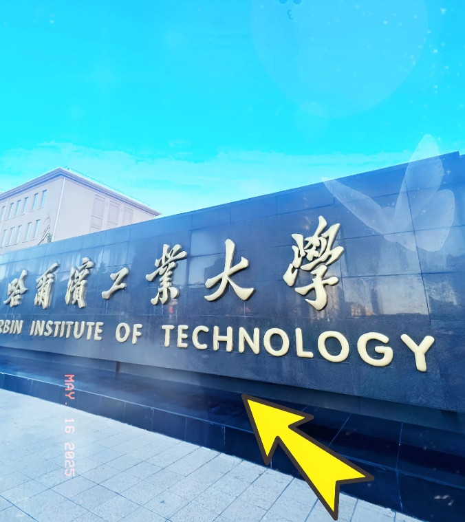 近日，哈尔滨工业大学因一群非洲留学生退学而受到热议96名留学生集体退学的真相