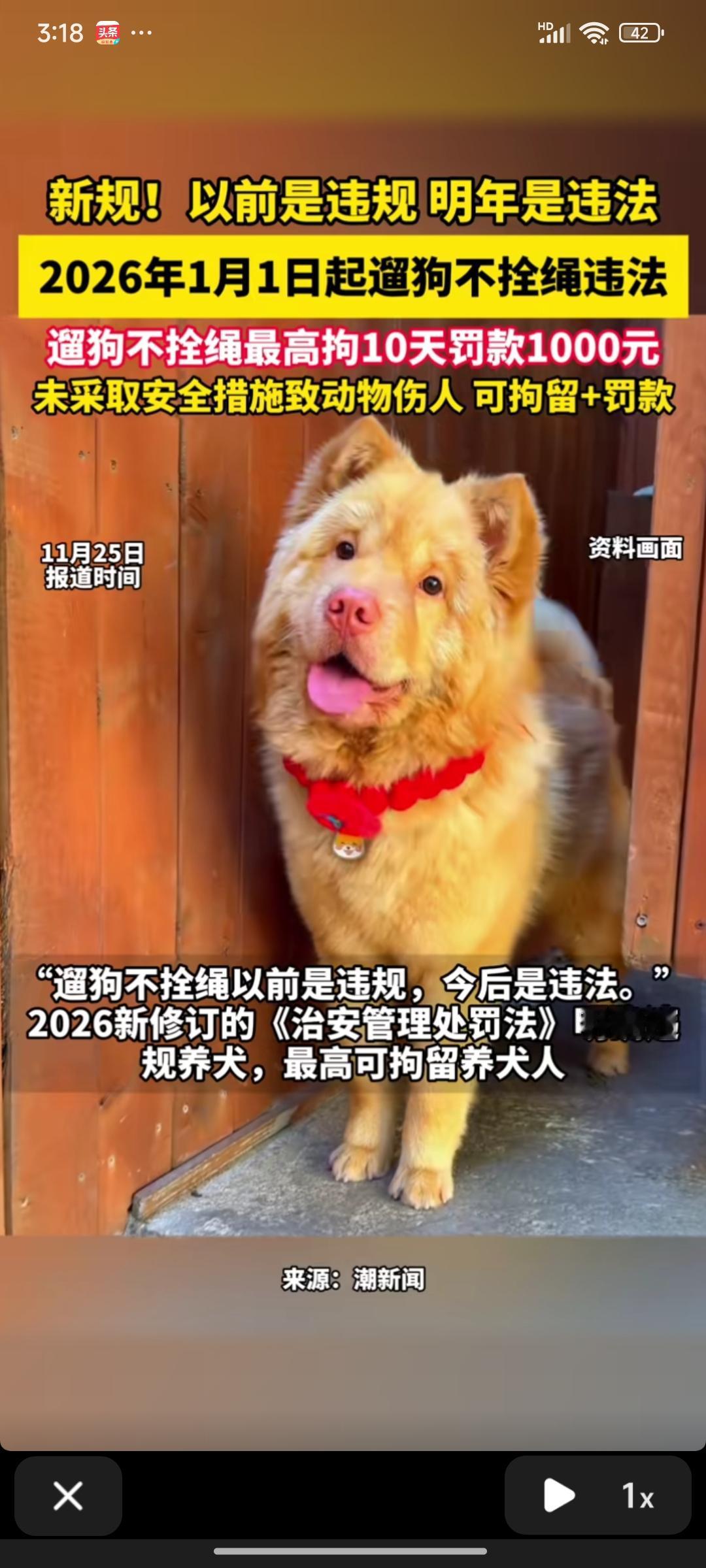 遛狗不栓绳，以前属于违规行为，今后则构成违法了。自2026年1月1日起，新增的《