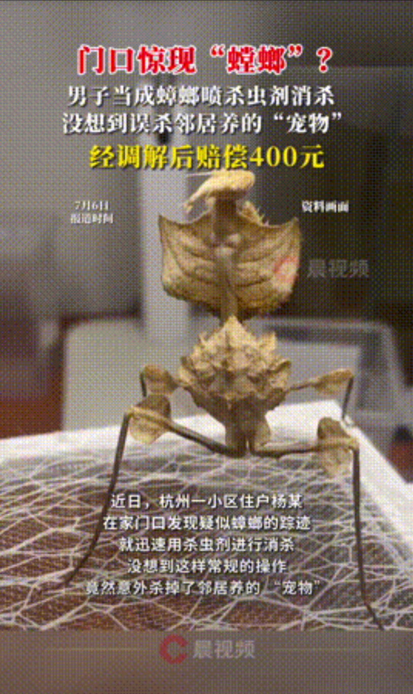 “讹人成功了！”7月6号，浙江杭州，一男子发现家门口有两只“蟑螂”后，就直接用上