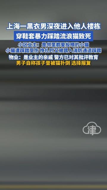 咱们小区那只总蹲快递柜等投喂的小猫，昨天夜里没了。是个穿黑衣的男的，深夜