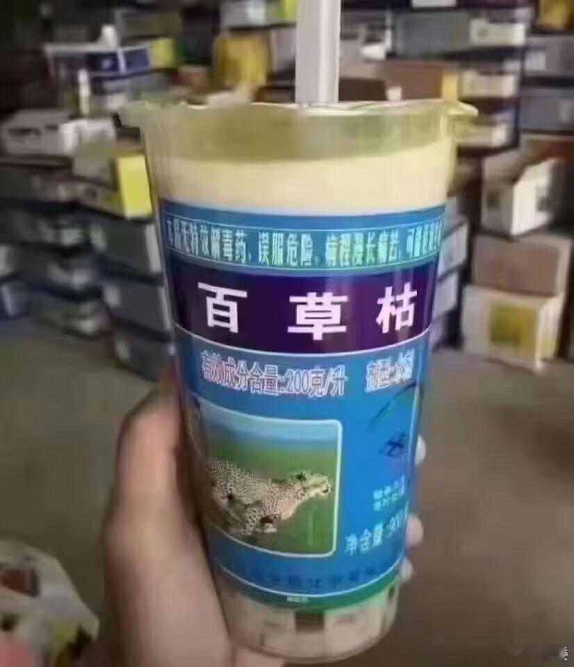 靡靡七月的第一杯奶茶