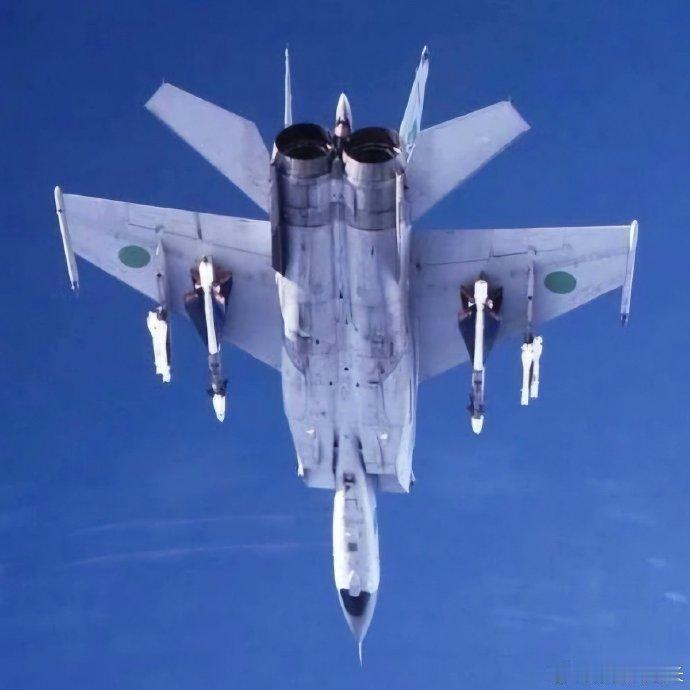 20世纪80年代利比亚确实是世界上装备MiG-25“狐蝠”高速截击机最多的国家之