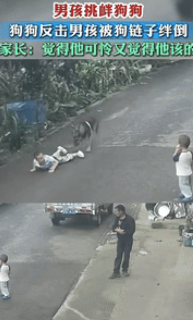 “这就是逗狗的下场！”云南一男孩挑衅狗狗，没想到，狗狗会挣脱绳子，男孩被吓的转身
