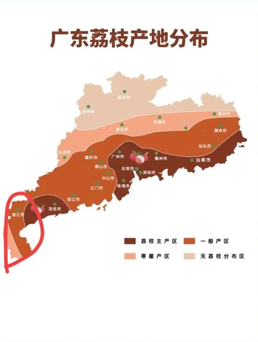 湛江的纬度明明更靠南，为什么没有跟隔壁的茂名一样，成为荔枝主产区？